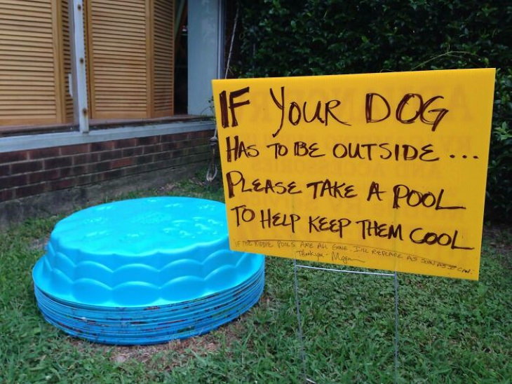 ola de calor, piscinas disponibles para perros