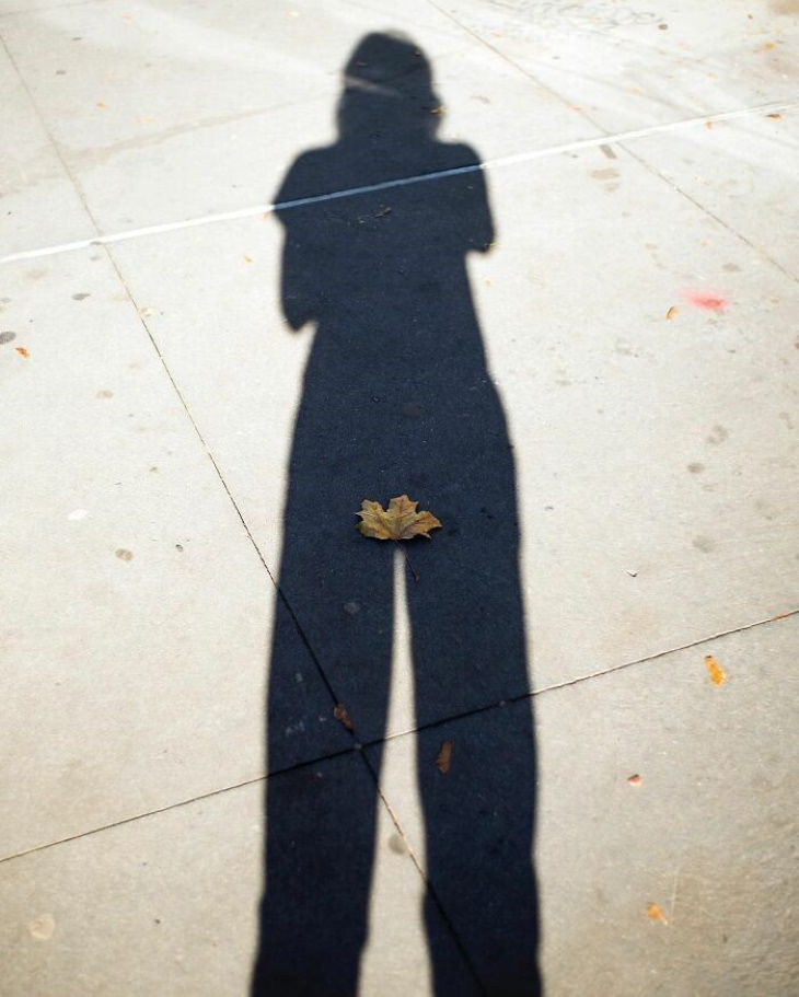 Well Timed Photos by Eric Kogan shadow and leaf