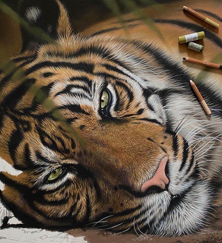 Pinturas Acrílicas De Grandes Felinos Acercamiento tigre