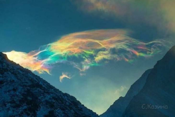 Animales y Plantas De Colores Brillantes Nubes iridiscentes en Siberia