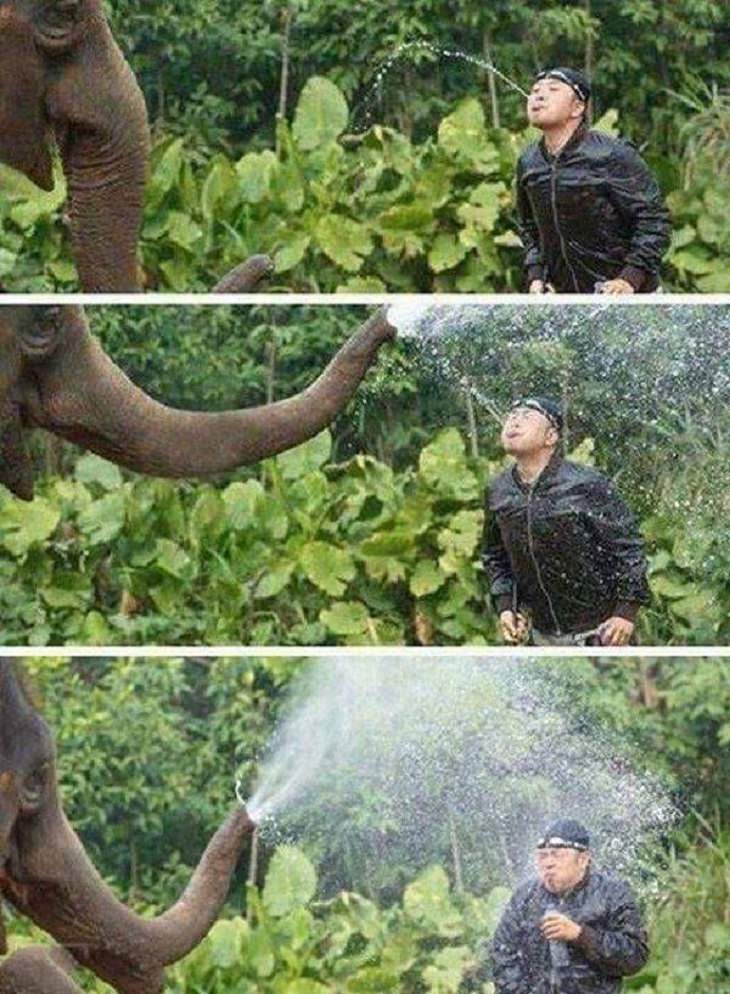 Fotos Divertidas De Animales Elefante mojando a un hombre con su trompa