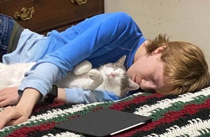 Animales y niños, siesta de gato y niño