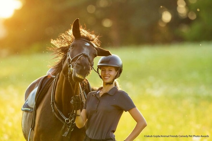2021 Premios de Fotografía de Mascotas de Cómicas, caballo sonriente