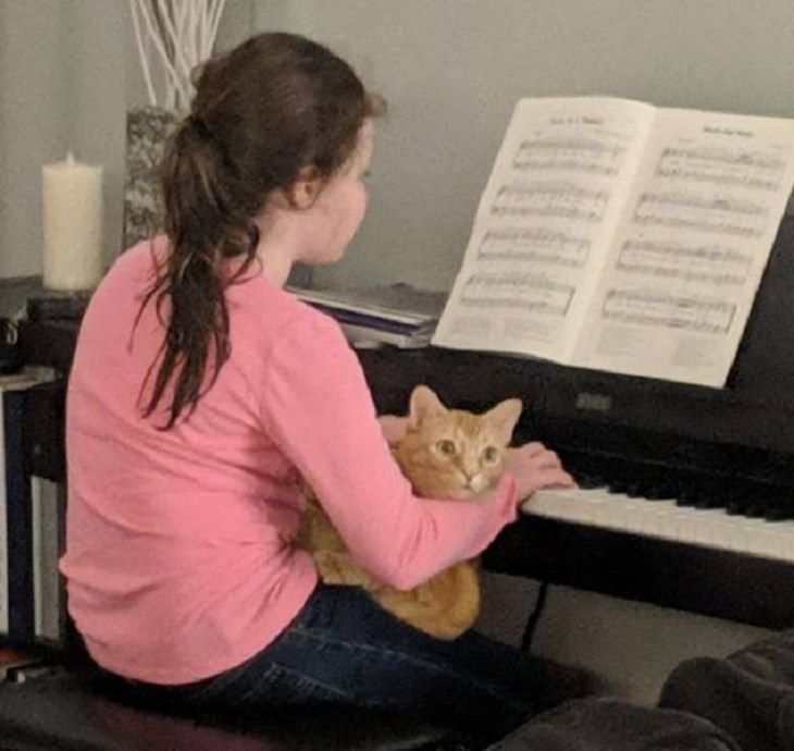 animales y niños, calses de piano, niña y gato