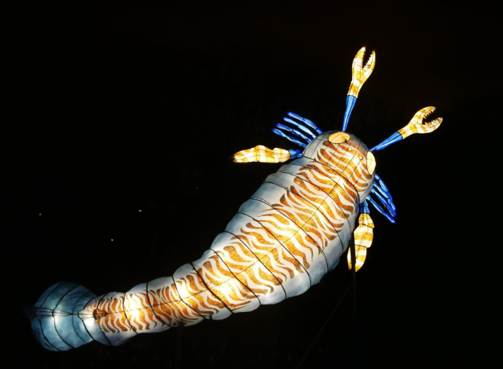 Exhibición De Dinosaurios Inflables Iluminados En París Criatura marina