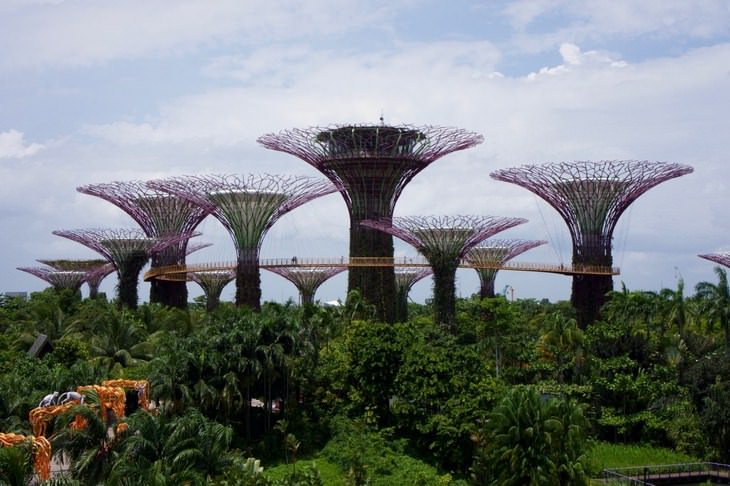 Hermosos jardines: Los árboles del Jardín Botánico de Singapur
