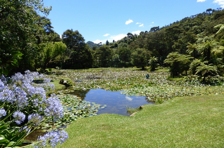 Hermosos jardines: Nueva Zelanda