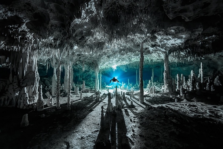 Fotografías Submarinas Ganadoras Espeleotemas en el Cenote Dos Pisos cubiertas de largas sombras (Quintana Roo, México).