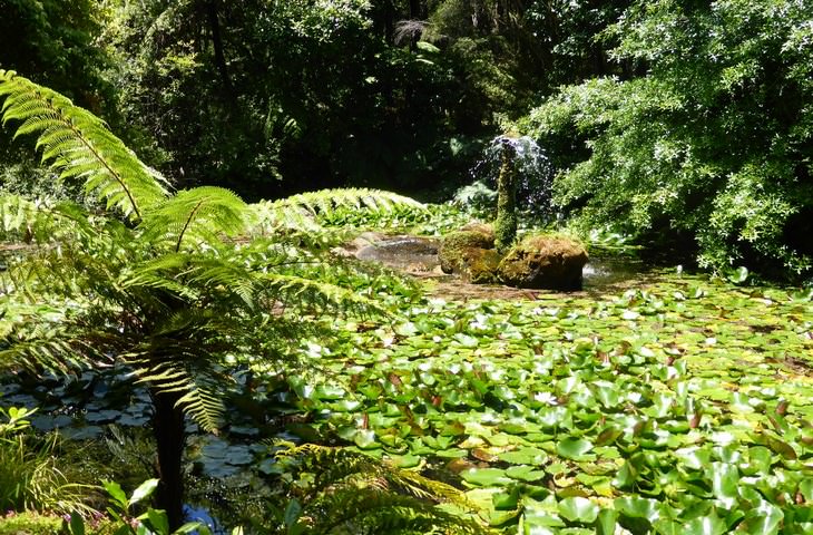 Hermosos jardines:Nueva Zelanda
