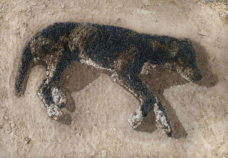 Mosaicos Hechos Completamente Con Piedras Perro