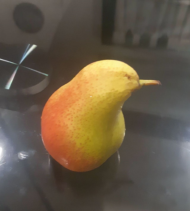 Frutas y Verduras Que Parecen Otra Cosa Pera que parece un pájaro