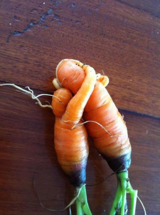 Frutas y Verduras Que Parecen Otra Cosa Zanahorias que se abrazan