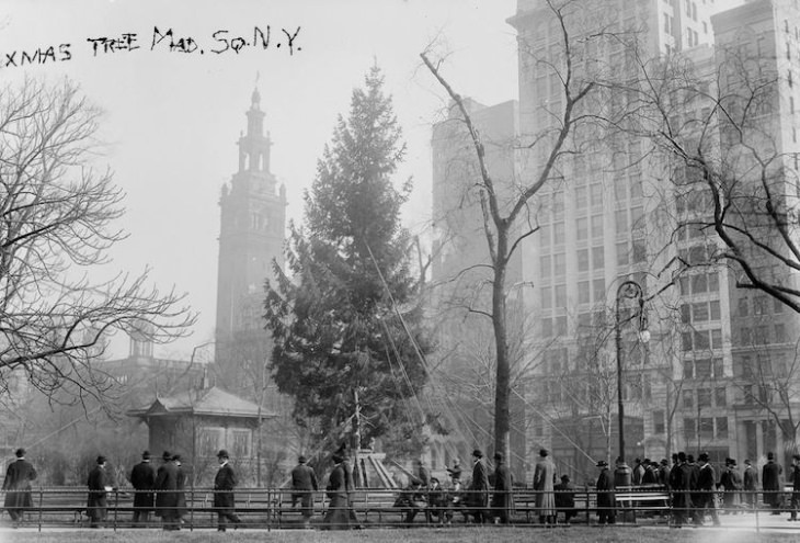 Fotos De La Navidad En Nueva York Hace 100 Años Árbol de Navidad