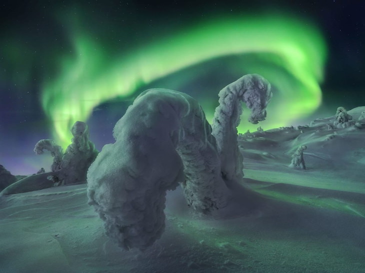 "Monstruos de nieve polar" de Sergey Korolev