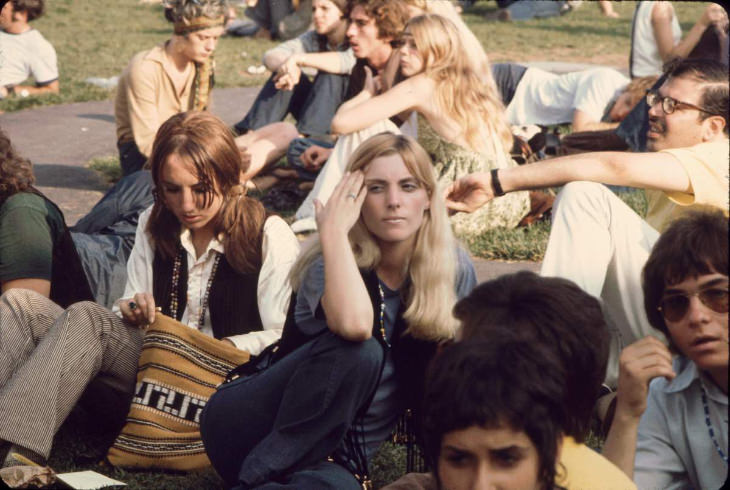 Woodstock cesped