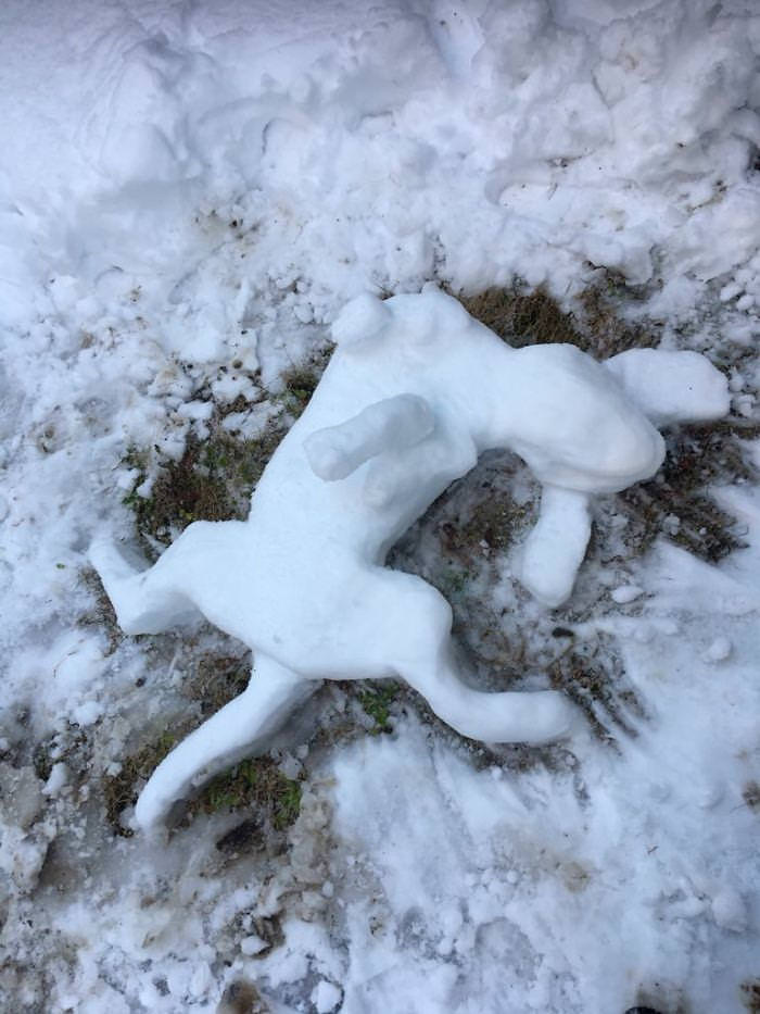 Muñecos De Nieve Creativos Perros