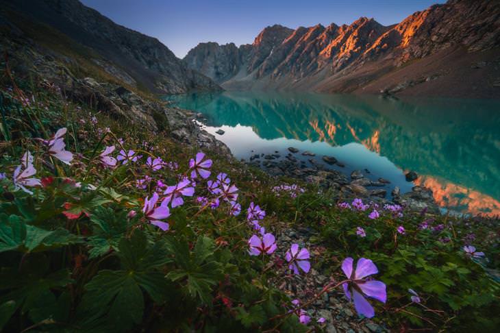 Paisajes De Kirguistán, Flores en lago