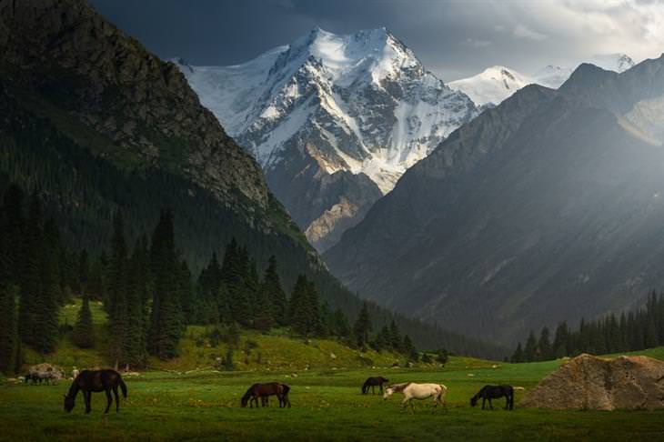 Paisajes De Kirguistán, Alpes