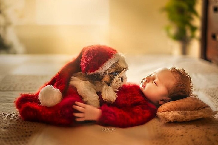 Fotos de niños y animales, Papa Noel