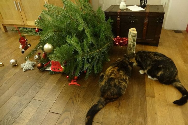 Mascotas Causando Estragos En Navidad Gatos derribando el árbol de navidad