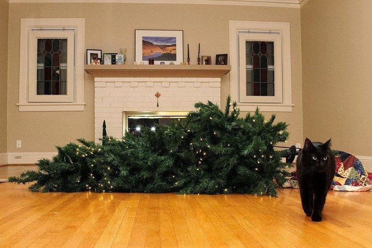 Mascotas Causando Estragos En Navidad Gato tirando un árbol de navidad