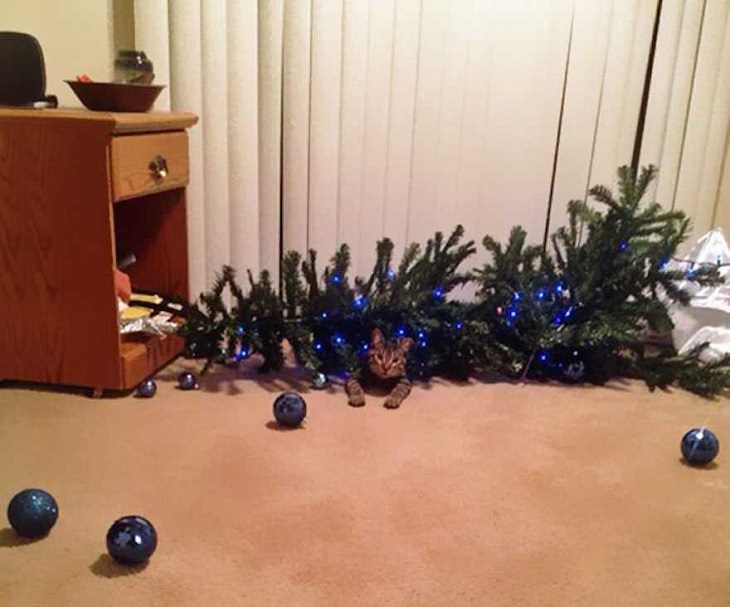 Mascotas Causando Estragos En Navidad Gato debajo de un árbol de navidad
