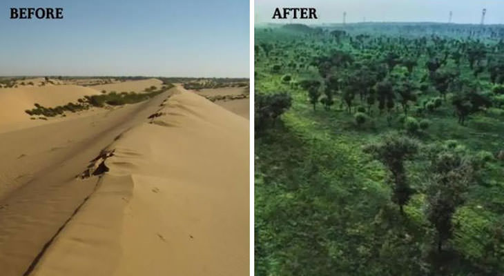 13. Después de años de esfuerzos para combatir la desertificación, el 93% del desierto de Mu-Us en el noroeste de China se transformó en un oasis.