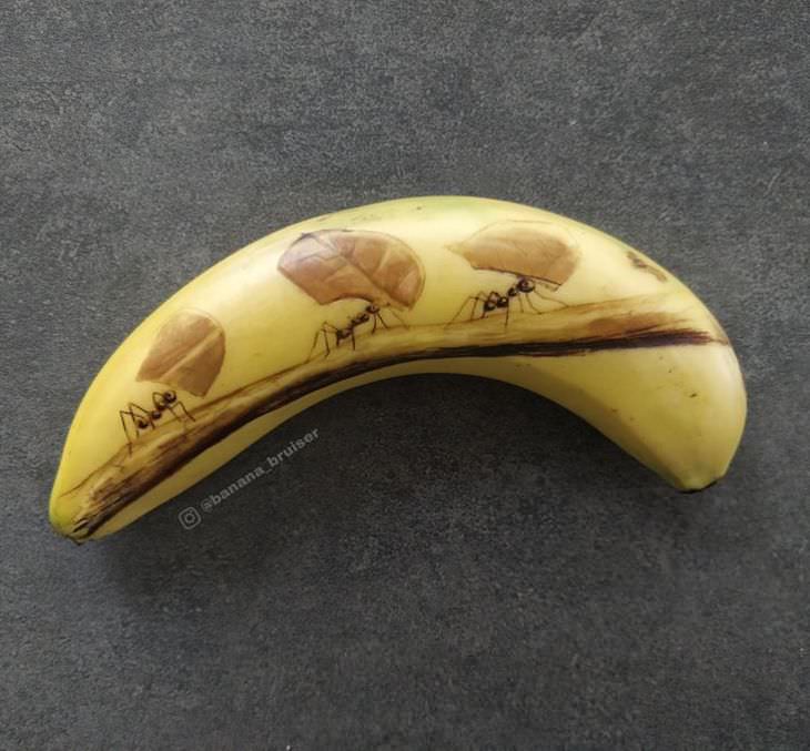 15 Hermosas Ilustraciones En Bananas hormigas