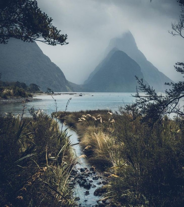 Belleza De La Naturaleza Un lindo día en Milford Sound, Nueva Zelanda