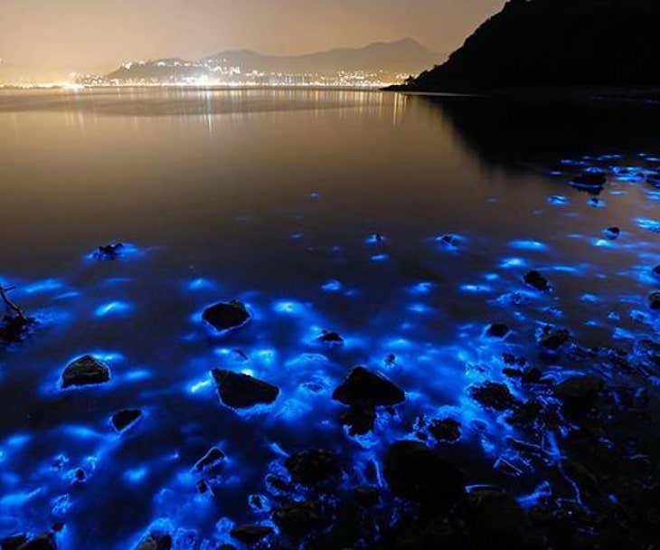  7 Maravillas Naturales Menos Conocidas La laguna luminosa