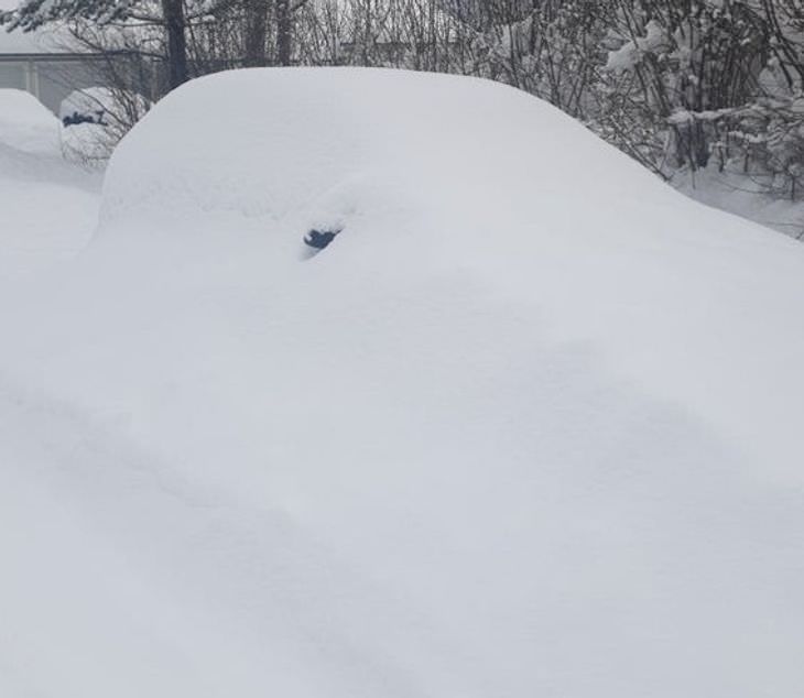 14. En algún lugar bajo toda esta nieve hay un coche