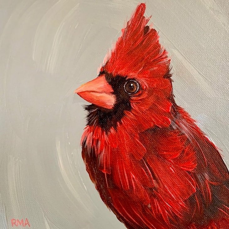 Retratos De Aves Cardenal rojo