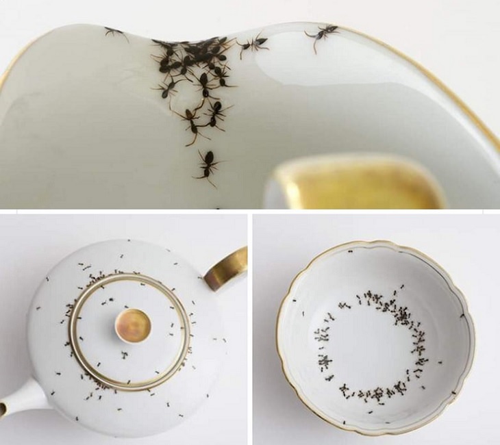 Imágenes Divertidas De Reparaciones Fallidas Vajilla decorada con hormigas pintadas