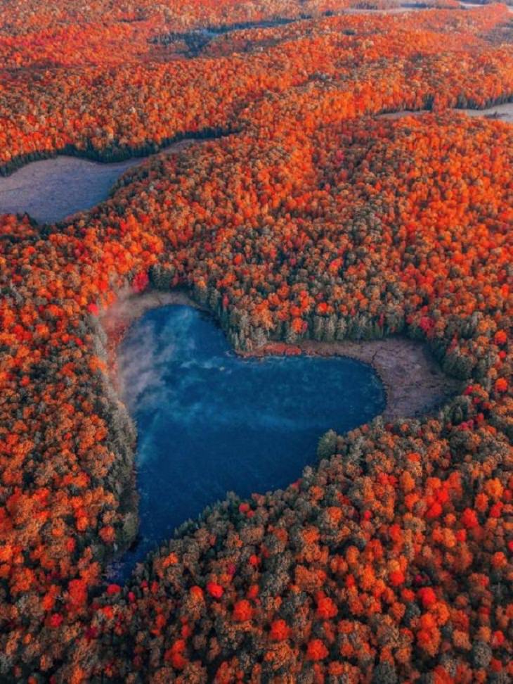 Imágenes De La Gloriosa Naturaleza Un lago natural en forma de corazón rodeado de follaje otoñal en Ontario, Canadá