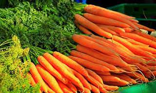 fotos zanahorias
