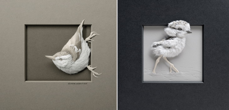 Calvin Nicholls paper art