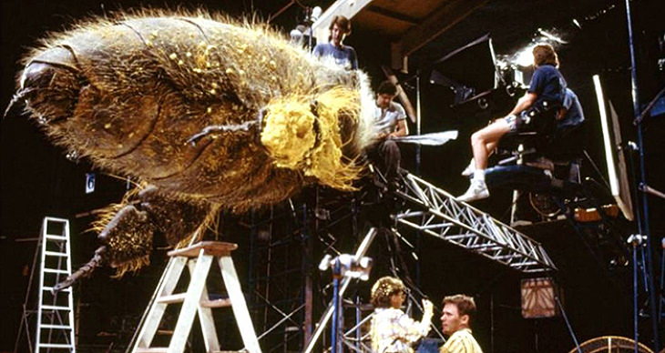 Fotos Detrás De Escenas De Películas Famosas Se construyó una abeja gigante para la escena del paseo de abejas en “Querida, encogí a los niños (1989)” .