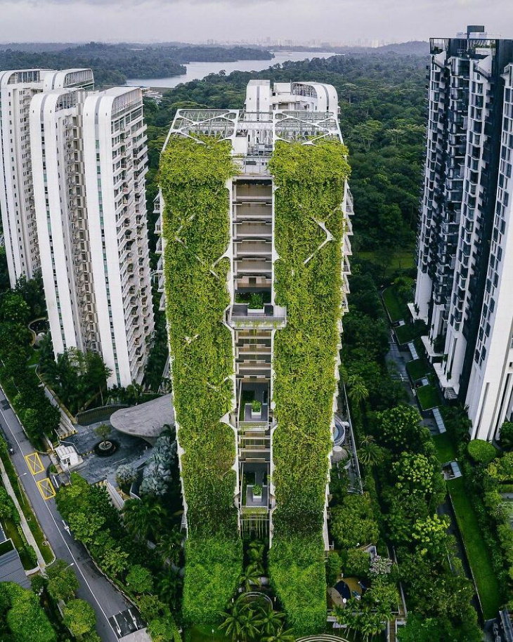 25 Asombrosos Edificios Este edificio de apartamentos ecológico en Singapur es en parte un edificio, en parte jardín