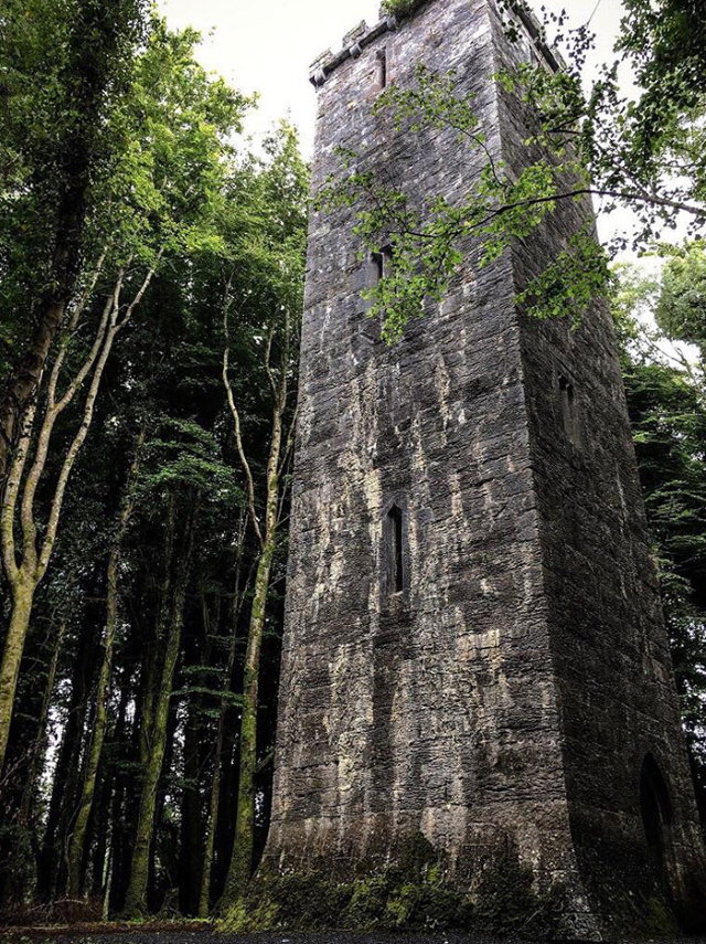 Lugares Espectaculares Una torre en medio de un bosque irlandés
