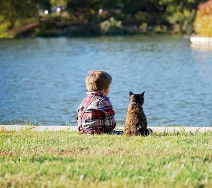 Fotos De Animales Tomadas En El Momento Perfecto Un niño sentado con su gato observando un lago