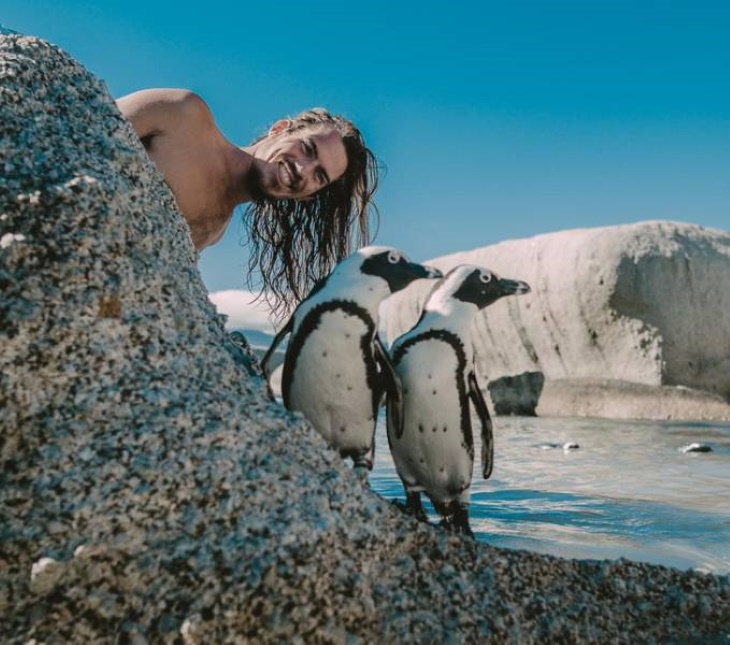 Fotos De Animales Tomadas En El Momento Perfecto Un hombre junto a dos pingüinos