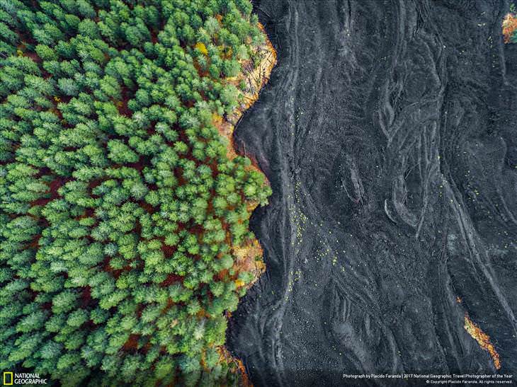 Fotos Asombrosas Del Planeta Tierra  'Lava solidificada vs bosque' en Etna, Sicilia