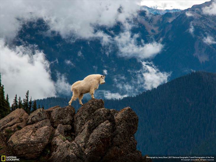 Fotos Asombrosas Del Planeta Tierra “Topografía desde una etapa de montaña” en Olympic Wilderness, Washington, EE. UU.