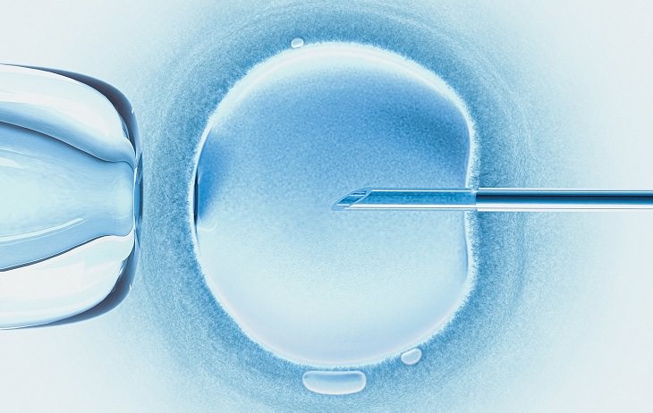 La Ciencia Demuestra Que Se Puede Modificar El ADN De Los Embriones Humanos
