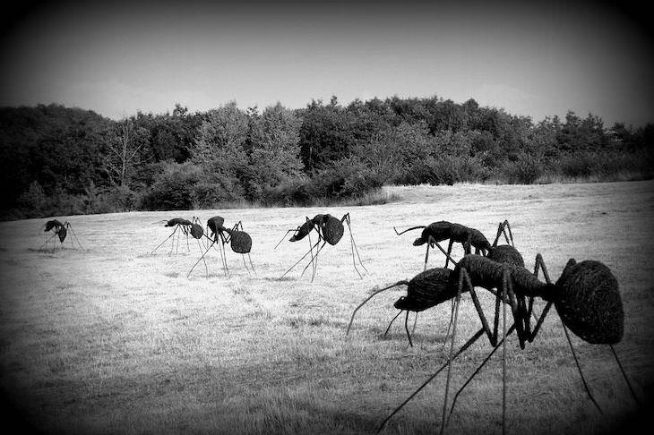 Obras De Arte Hechas Con Alambre Hormigas de alambre de hierro por David Vanorbeek
