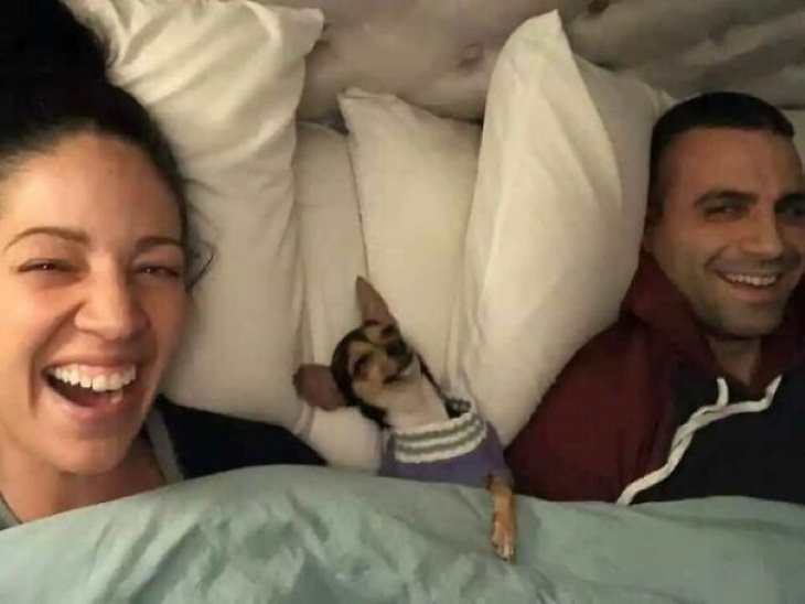1. ¿Por qué estas personas duermen en la cama de este lindo perro?