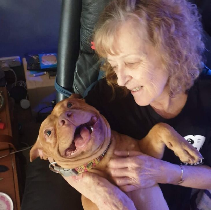15 Dulces Fotos De Perros Con Las Sonrisas Más Alegres Perro con su dueña