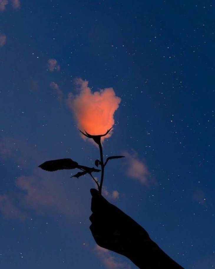 22 Ilusiones Ópticas Que Lograrán Confundirte Nube en una rosa