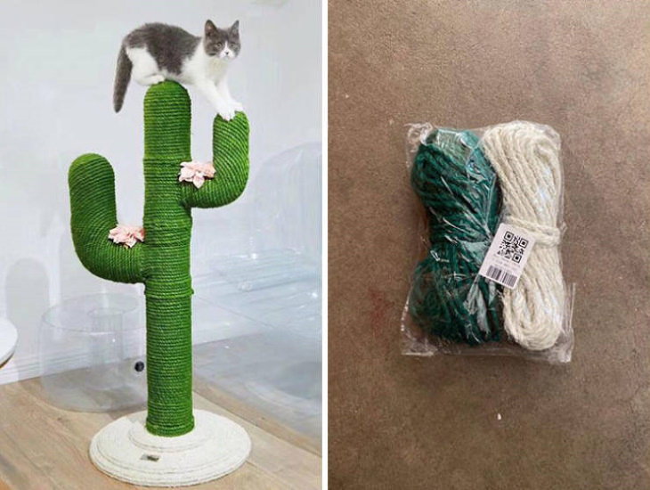 Divertidas Imágenes De Fallos En Las Compras En Línea Rascador para gatto