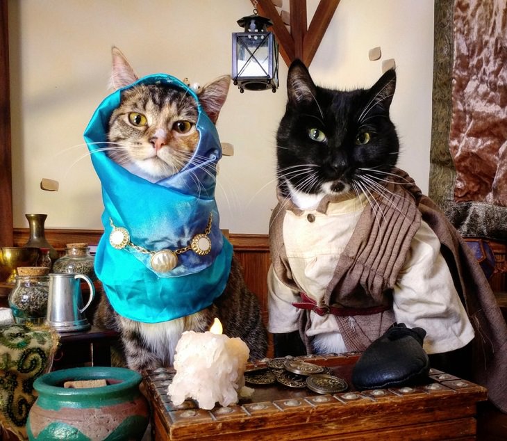 Adorables Fotos De Gatitos Usando Disfraces Pareja de gatos